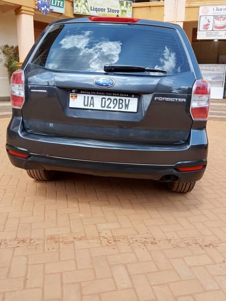 A picture of Subaru forester 2015