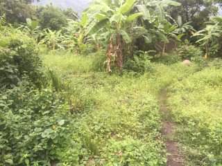 A picture of Kiwanja kinauzwa