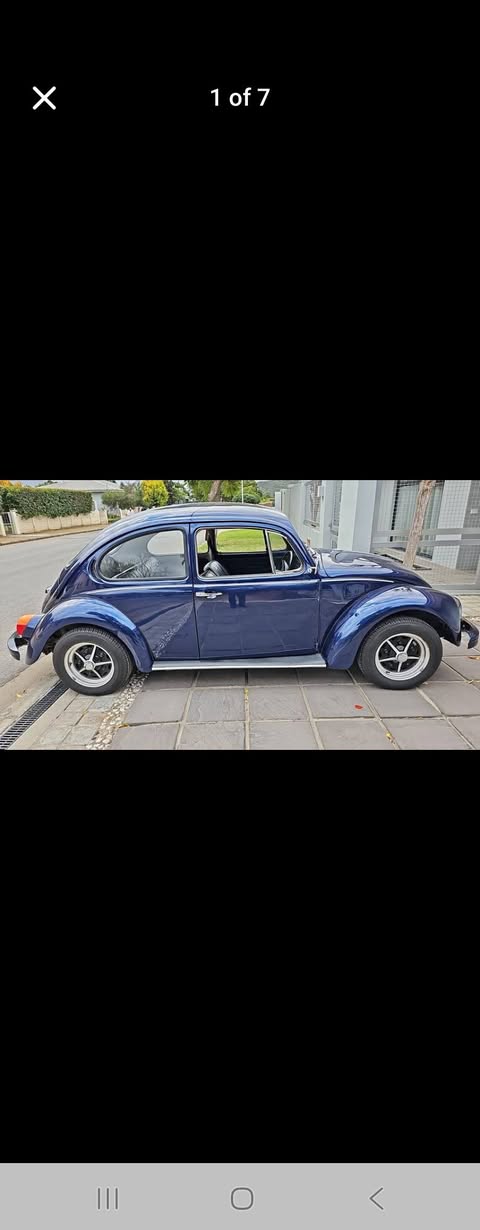 vw beetle