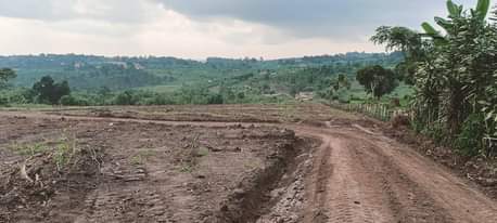 A picture of PLOTS FOR SALE LOCATED WAKISO NAMAYUMBA