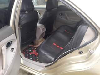 A picture of Sharp Camry
