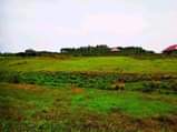 A picture of KAKIRI KIKANDWA ESTATE 50BY100 WITH READY LAND TITLE AT 10M