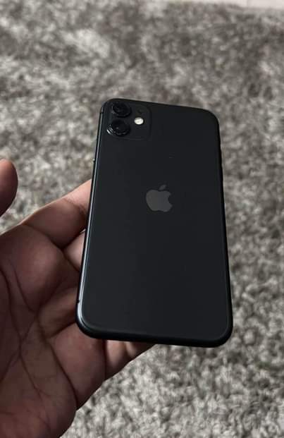 A picture of iPhone 11 plain