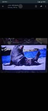 A picture of tv