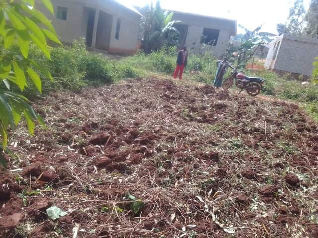 A picture of Plot for sale at only 4m