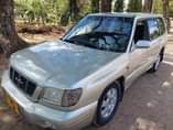 A picture of Subaru foresta