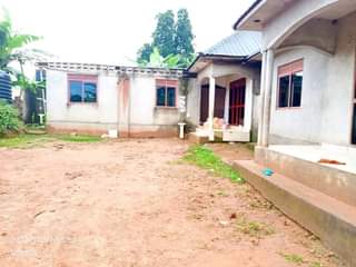 A picture of House
