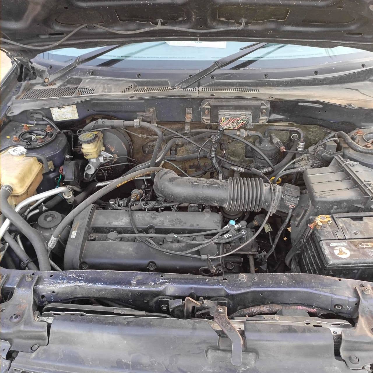 A picture of Ford escape