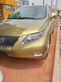 A picture of RX350 2010 First Body