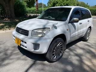 A picture of Rav4 kill time