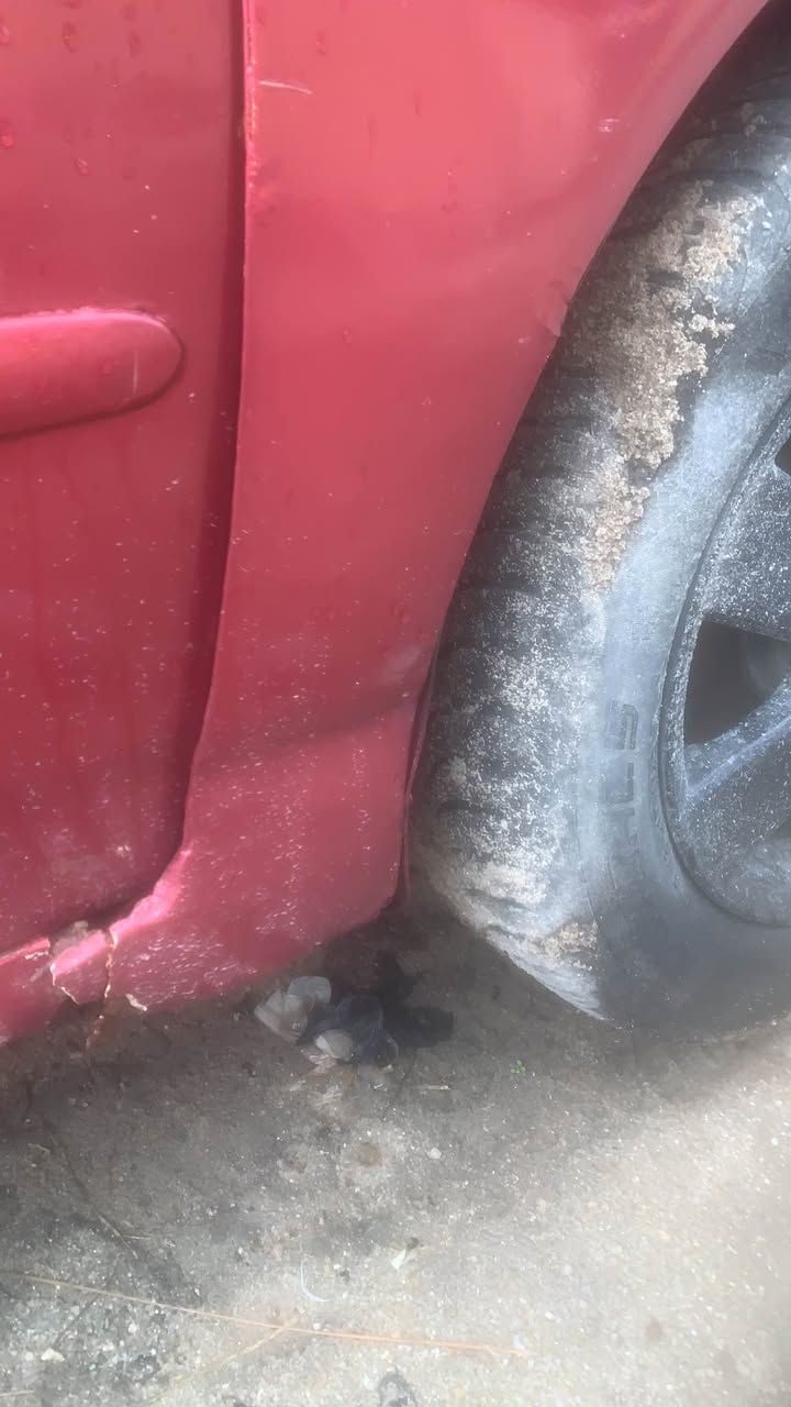 A picture of Toyota Corolla 2007