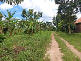 A picture of Five acres of land with title on quick sale