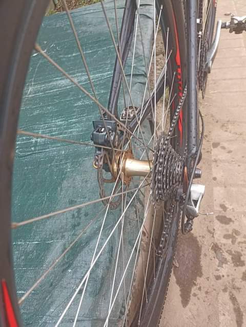 shimano