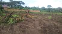 A picture of Estate plots on sale at matuga kiwebwa