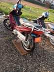 A picture of Lady bike