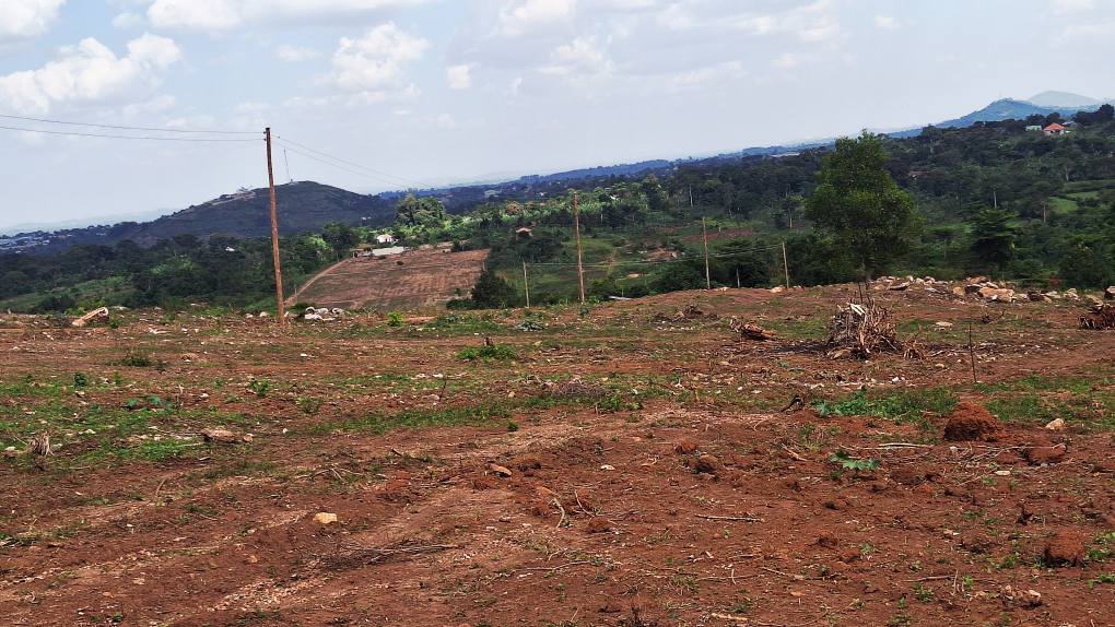 A picture of TITLED PLOTS AT 10M