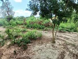 A picture of Kiwanja kipo sokoni 0622574449
