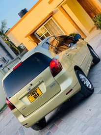 A picture of Gari kali sans