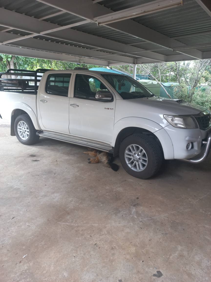 cars on finance
