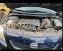 A picture of Toyota Corolla 2009 Manual transmission Nothing to fix Buy and