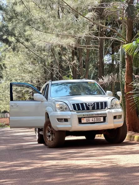 used toyota prado