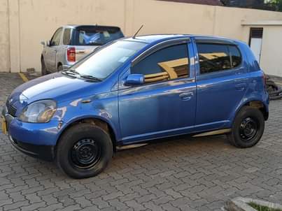 A picture of Vitz