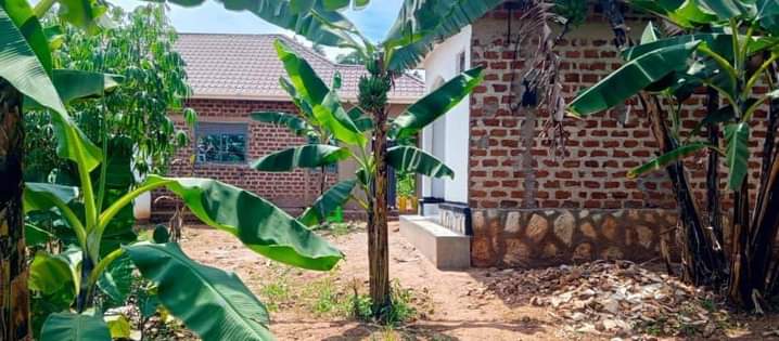 A picture of Ndagano