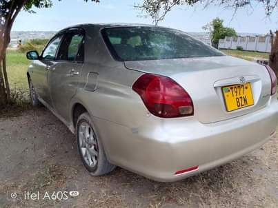 A picture of Verosa nzuri