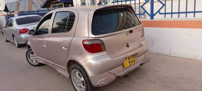A picture of Vitz