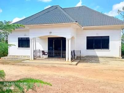 A picture of House