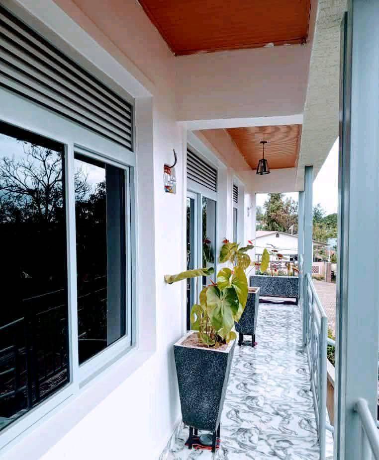 houses for rent