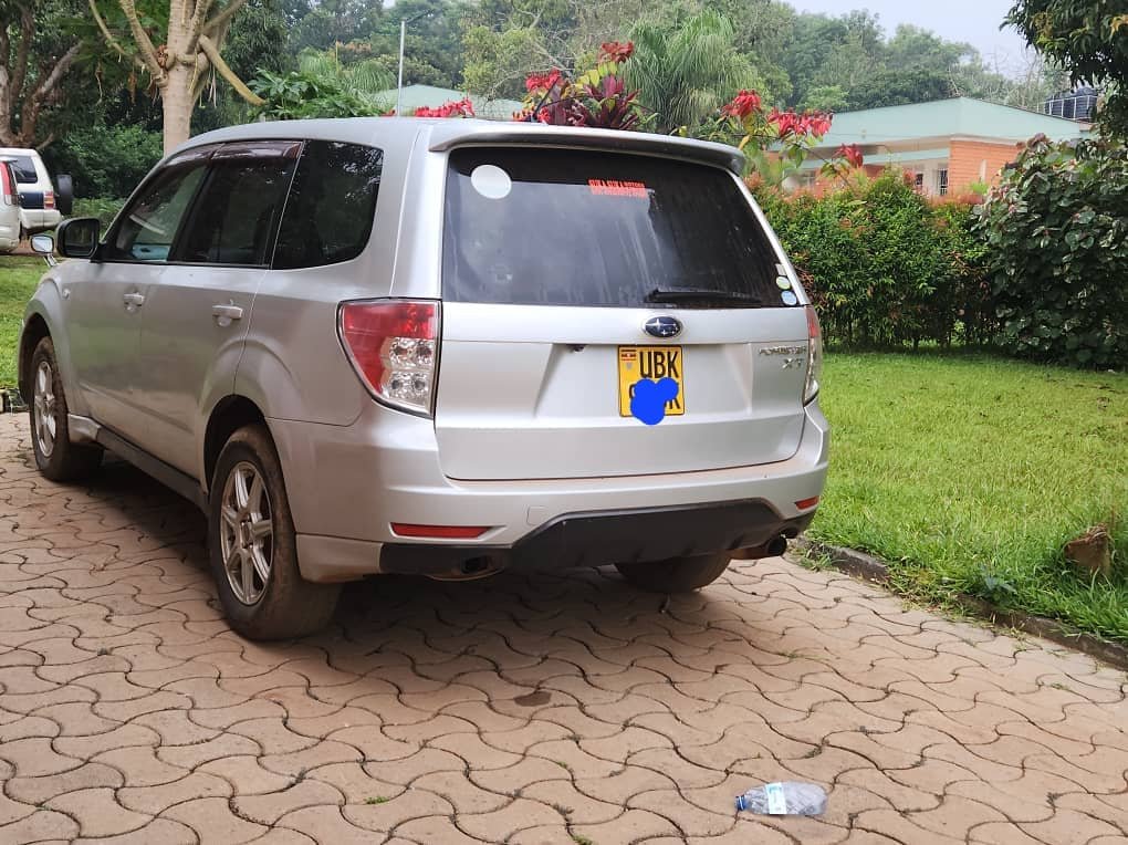 A picture of 2008 Subaru forester