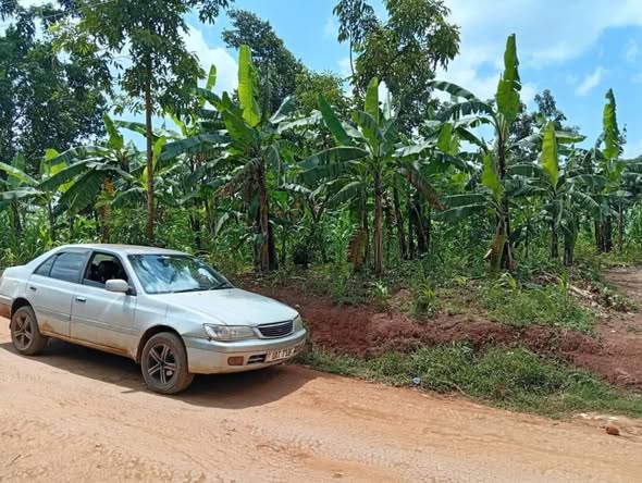houses matugga