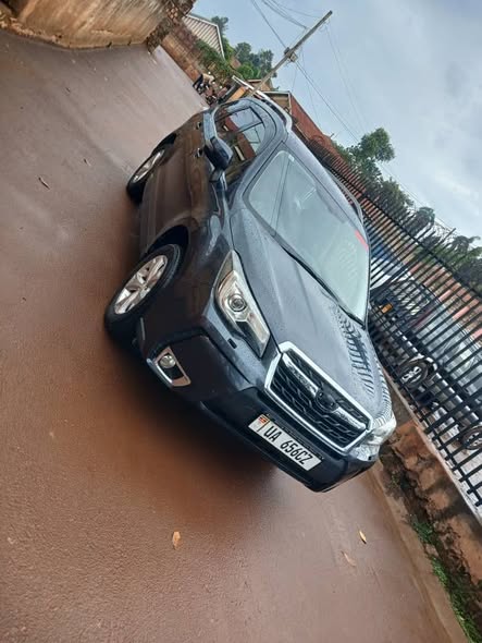A picture of Forester 2016