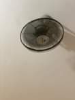 A picture of vitu used