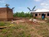 A picture of Negomba okuberako nawe nga turi free tewali kitutataganya