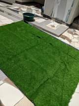 carpets