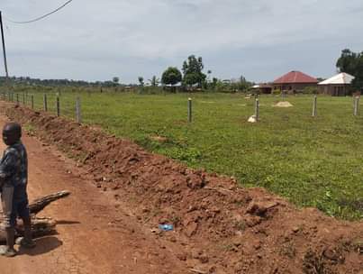 A picture of We sale plots