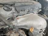 A picture of Camry big Daddy