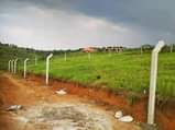 A picture of KAKIRI KIKANDWA ESTATE 50BY100 WITH READY LAND TITLE AT 10M