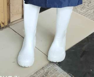 Njambi M.