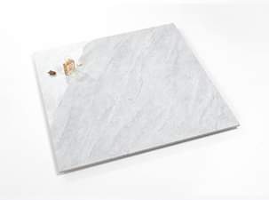 A picture of Floor tiles