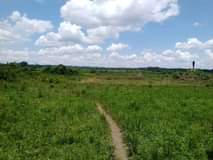 A picture of 40 acers for sale in Kayunga Bugerere starting on main