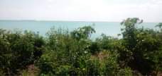 A picture of BEACH FROT LOCATION KIKUNGWI