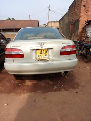A picture of 0705627113 7 5m