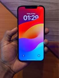 A picture of 12promax 512gb