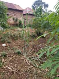 A picture of Quick sale plot 50 30 Namugongo Jogo town At 10m