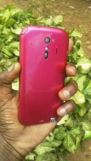 A picture of Aquos docom