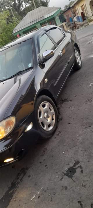 cars