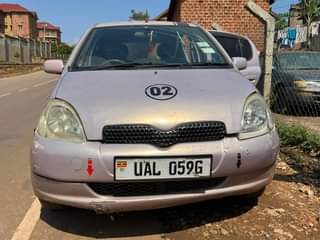 A picture of Vitz